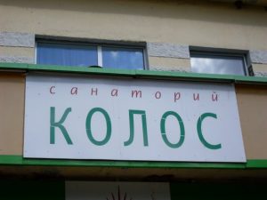 Профильная смены для детей-инвалидов и детей с ограниченными возможностями здоровья.
